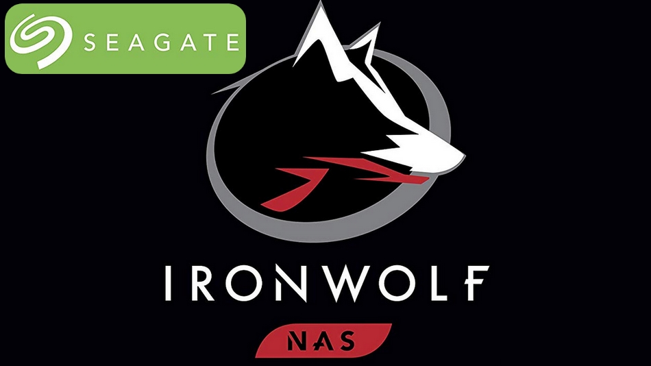 Seagate IronWolf 8 To (ST8000VN004) rue montgallet