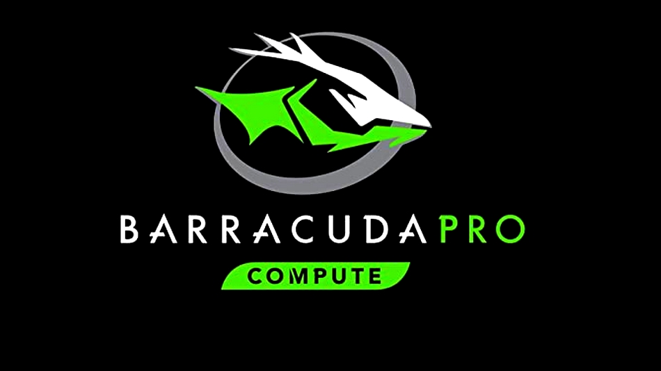 Seagate BarraCuda Pro 10 To rue montgallet