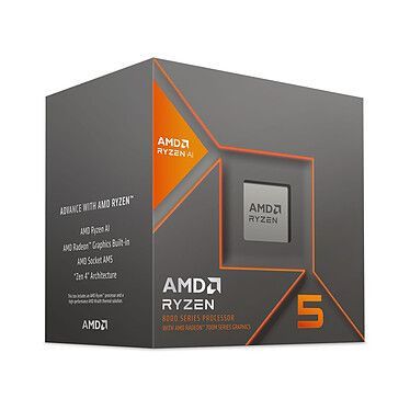 AMD Ryzen 5 8600G Wraith Stealth