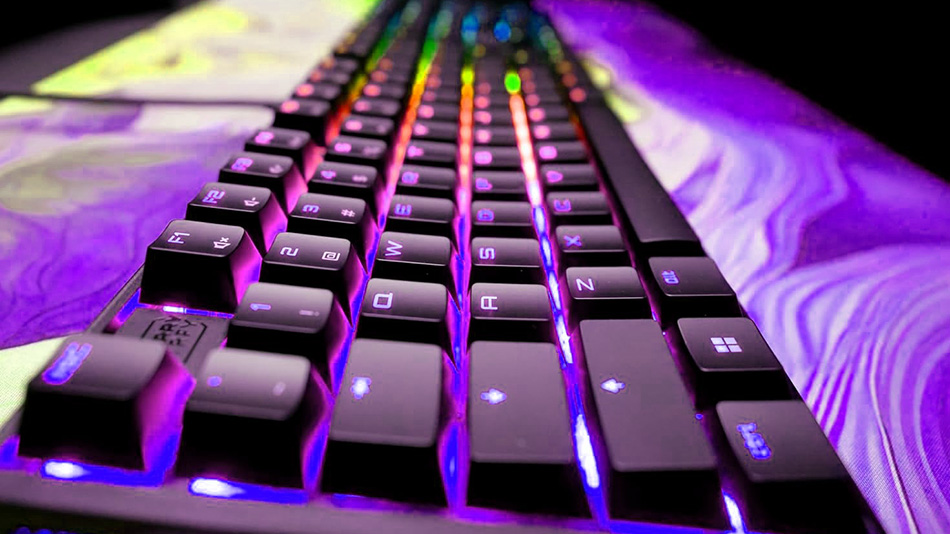 Xtrfy Cherry MX 3.1 - Rue Montgallet